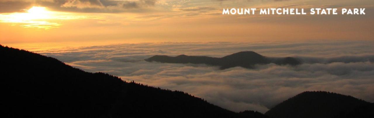 Treetops Cabin Easy To Asheville With Fast Wifi And Great View Swiss Экстерьер фото