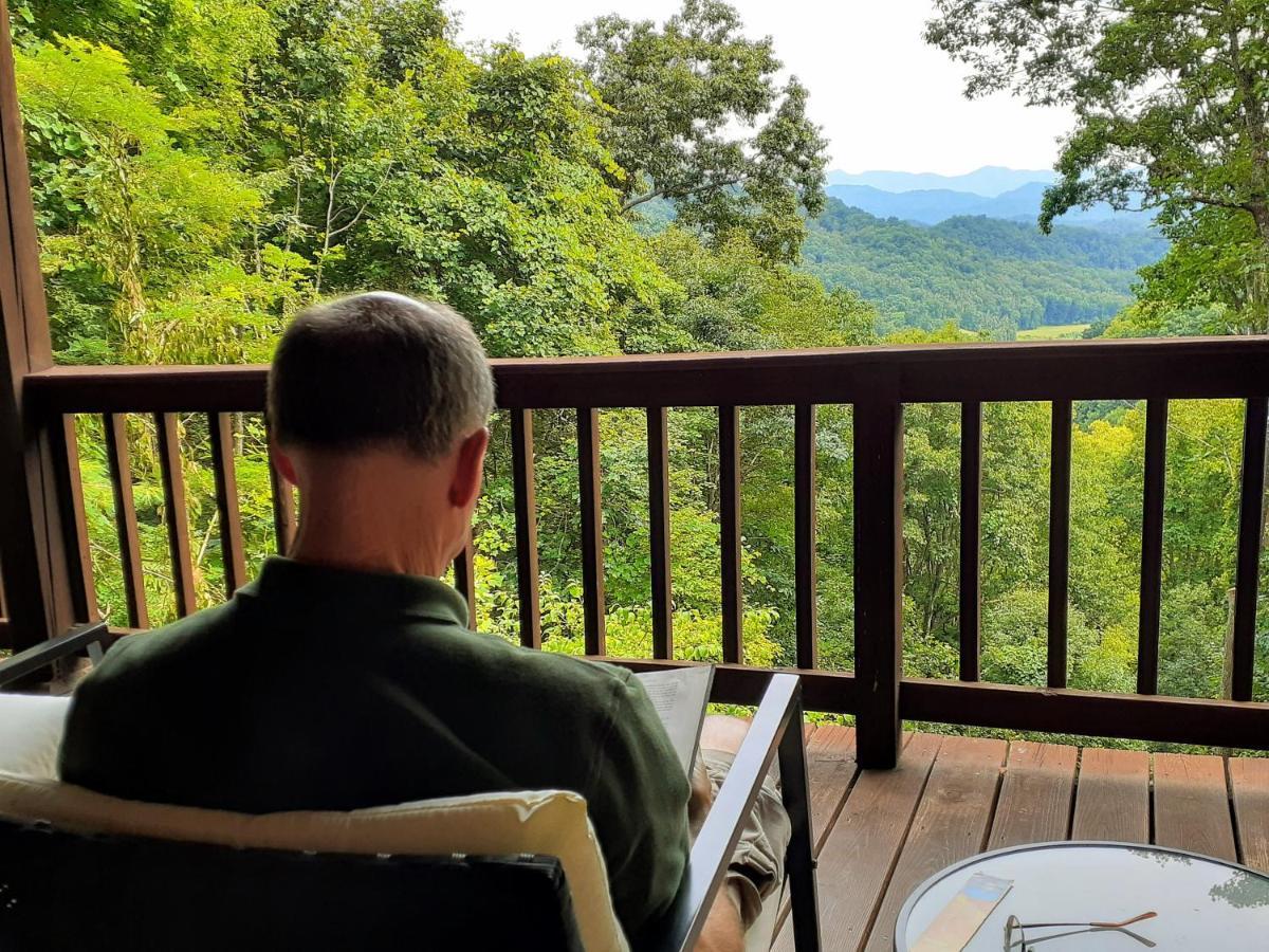 Treetops Cabin Easy To Asheville With Fast Wifi And Great View Swiss Экстерьер фото