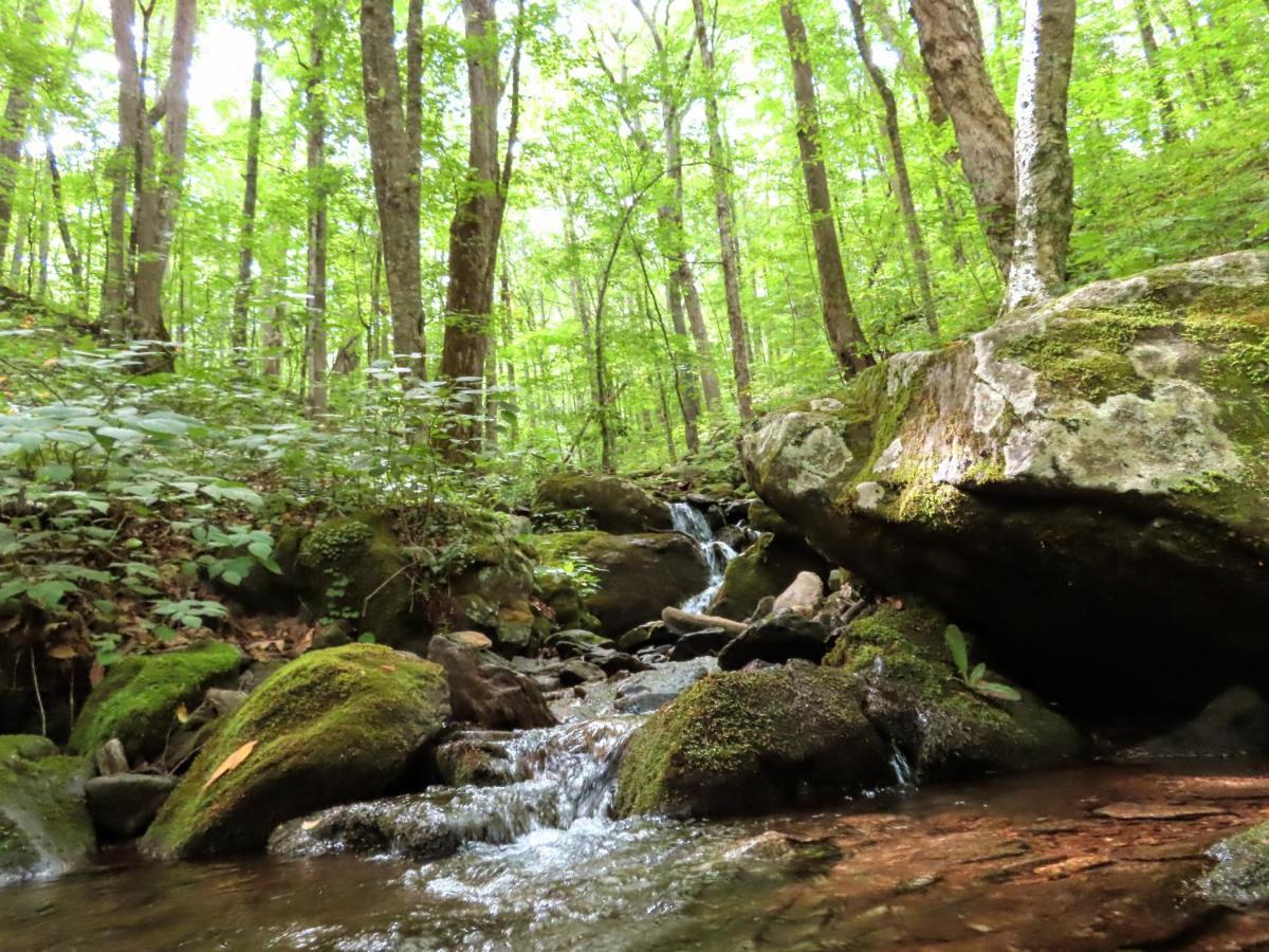 Treetops Cabin Easy To Asheville With Fast Wifi And Great View Swiss Экстерьер фото
