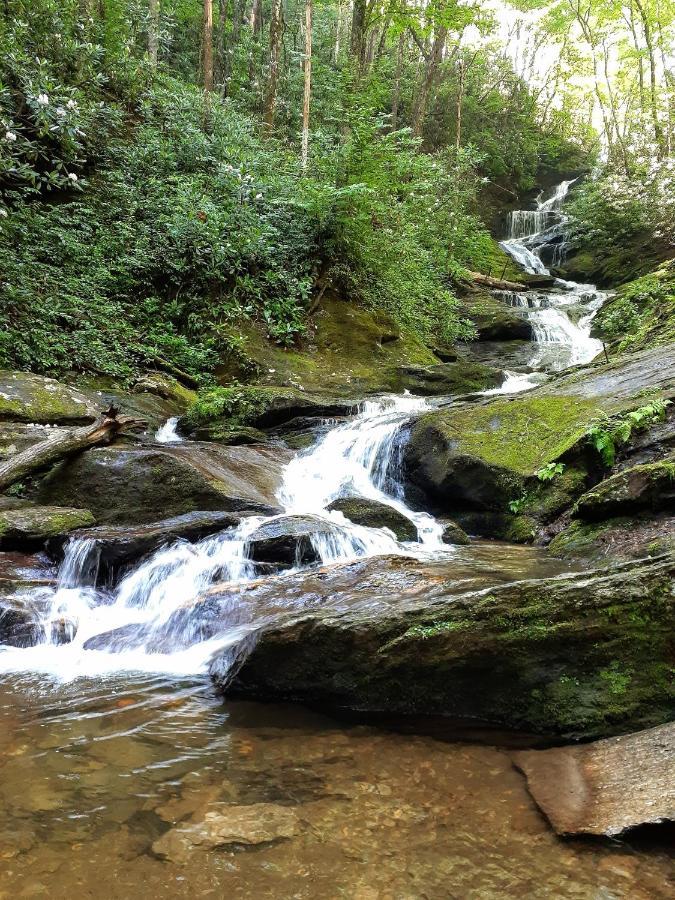 Treetops Cabin Easy To Asheville With Fast Wifi And Great View Swiss Экстерьер фото
